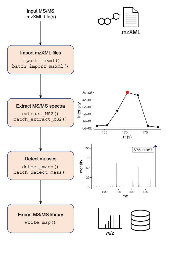Figure 1. Overview of general data processing pipeline to extract MS/MS spectra using the MS2extract package